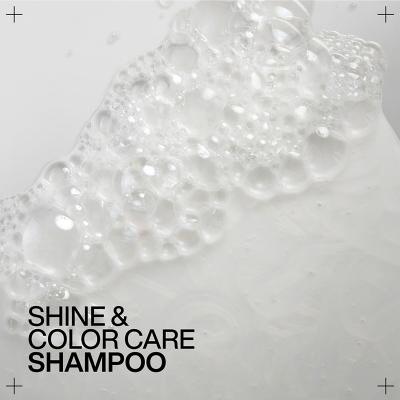 Redken Acidic Color Gloss Sulfate-Free Shampoo Šampón pre ženy 500 ml