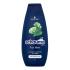 Schwarzkopf Schauma Men Classic Shampoo Šampón pre mužov 400 ml