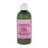 L'Occitane Radiance And Color Care Šampón pre ženy 300 ml