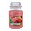 Yankee Candle Sun-Drenched Apricot Rose Vonná sviečka 623 g