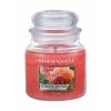 Yankee Candle Sun-Drenched Apricot Rose Vonná sviečka 411 g