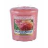 Yankee Candle Sun-Drenched Apricot Rose Vonná sviečka 49 g