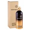 Montale Leather Patchouli Parfumovaná voda 100 ml