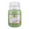 Yankee Candle Vanilla Lime Vonná sviečka 623 g