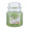 Yankee Candle Vanilla Lime Vonná sviečka 411 g