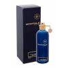 Montale Aoud Ambre Parfumovaná voda 100 ml