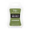 WoodWick Evergreen Vonný vosk 22,7 g