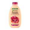 Garnier Botanic Therapy Ricinus Oil &amp; Almond Šampón pre ženy 250 ml