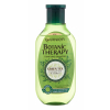 Garnier Botanic Therapy Green Tea Eucalyptus &amp; Citrus Šampón pre ženy 250 ml