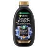 Garnier Botanic Therapy Magnetic Charcoal &amp; Black Seed Oil Šampón pre ženy 400 ml