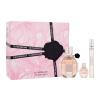 Viktor &amp; Rolf Flowerbomb Darčeková kazeta parfumovaná voda 50 ml + parfumovaná voda 10 ml + parfumovaná voda 7 ml