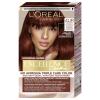 L&#039;Oréal Paris Excellence Creme Triple Protection Farba na vlasy pre ženy 48 ml Odtieň 4UR Universal Dark Red