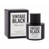 Kenneth Cole Vintage Black Toaletná voda pre mužov 100 ml