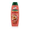 Palmolive Naturals Hydra Balance 2in1 Šampón pre ženy 350 ml