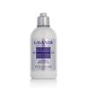 L&#039;Occitane Lavande Body Lotion Telové mlieko pre ženy 250 ml