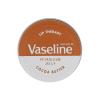 Vaseline Lip Therapy Cocoa Butter Balzam na pery pre ženy 20 g