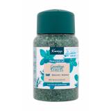 Kneipp Goodbye Stress Water Mint & Rosemary Kúpeľová soľ 500 g