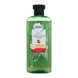 Herbal Essences Potent Aloe + Mango Colour Protect & Shine Shampoo Šampón pre ženy 380 ml