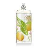 Elizabeth Arden Green Tea Citron Freesia Toaletná voda pre ženy 100 ml tester