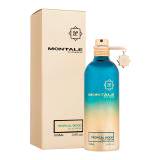 Montale Tropical Wood Parfumovaná voda 100 ml