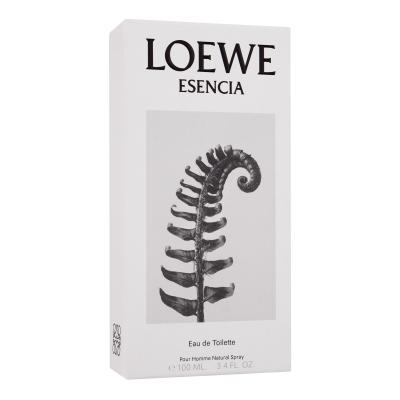 Loewe Esencia Toaletná voda pre mužov 100 ml