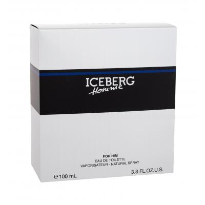 Iceberg Homme Toaletná voda pre mužov 100 ml