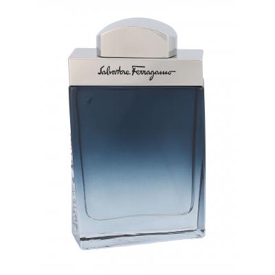 Ferragamo Subtil Pour Homme Toaletná voda pre mužov 50 ml