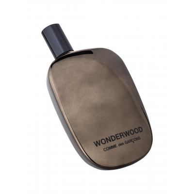 COMME des GARCONS Wonderwood Parfumovaná voda pre mužov 100 ml