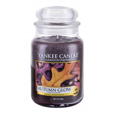 Yankee Candle Autumn Glow Vonná sviečka 623 g