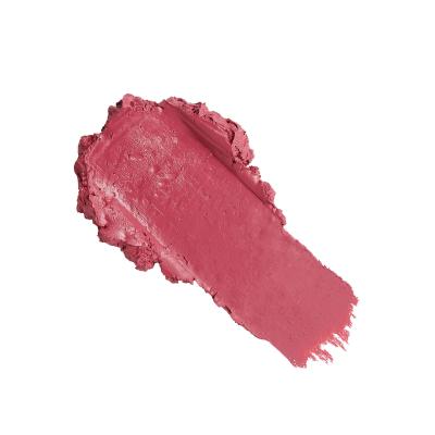Revolution Pro New Neutral Satin Matte Lipstick Rúž pre ženy 3,2 g Odtieň Struck