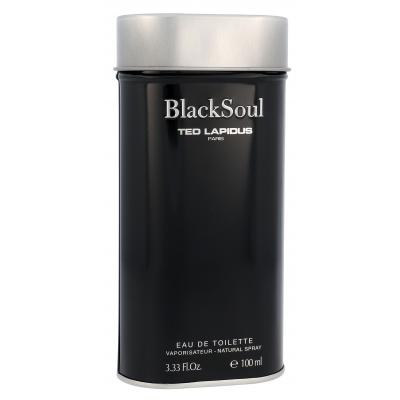 Ted Lapidus Black Soul Toaletná voda pre mužov 100 ml