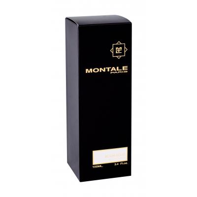 Montale Moon Aoud Parfumovaná voda 100 ml