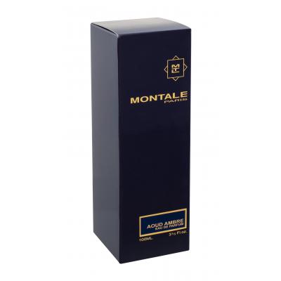 Montale Aoud Ambre Parfumovaná voda 100 ml