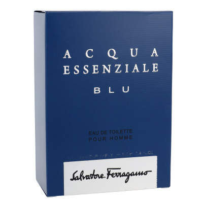 Ferragamo Acqua Essenziale Blu Toaletná voda pre mužov 100 ml