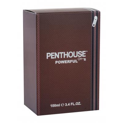 Penthouse Powerful Toaletná voda pre mužov 100 ml