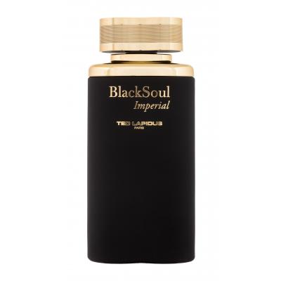 Ted Lapidus Black Soul Imperial Toaletná voda pre mužov 100 ml