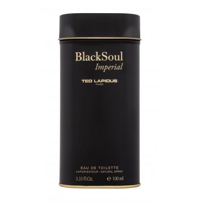 Ted Lapidus Black Soul Imperial Toaletná voda pre mužov 100 ml