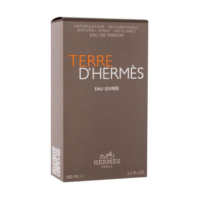 Hermes Terre d´Hermès Eau Givrée Parfumovaná voda pre mužov 100 ml