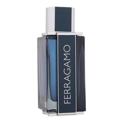 Ferragamo Ferragamo Intense Leather Parfumovaná voda pre mužov 100 ml