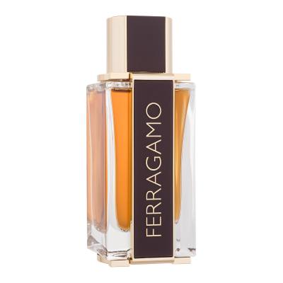 Ferragamo Ferragamo Spicy Leather Parfum pre mužov 100 ml