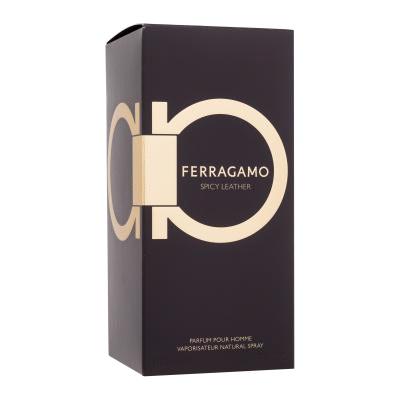 Ferragamo Ferragamo Spicy Leather Parfum pre mužov 100 ml