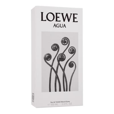 Loewe Agua Toaletná voda 100 ml