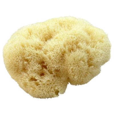 Kii-Baa Organic Silky Sea Sponge 10-12 cm Doplnok do kúpeľne 1 ks