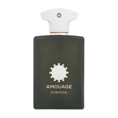 Amouage Purpose Parfumovaná voda 100 ml