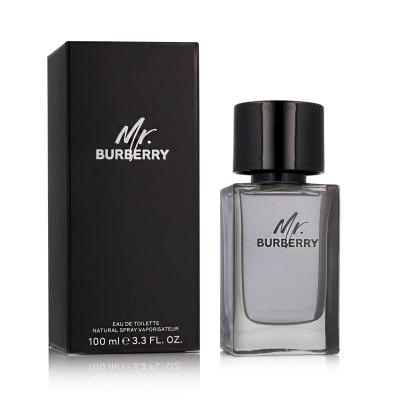Burberry Mr. Burberry Toaletná voda pre mužov 100 ml