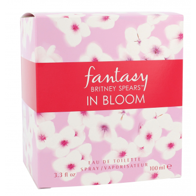 Britney Spears Fantasy in Bloom Toaletná voda pre ženy 100 ml