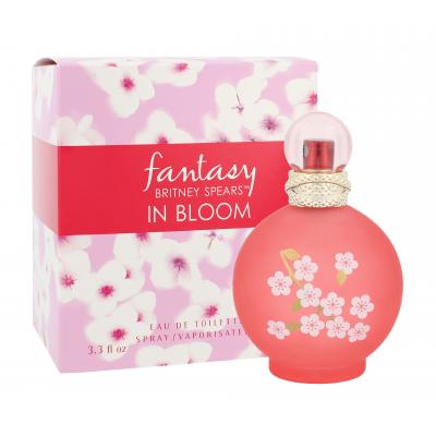 Britney Spears Fantasy in Bloom Toaletná voda pre ženy 100 ml
