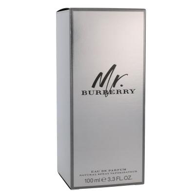 Burberry Mr. Burberry Parfumovaná voda pre mužov 100 ml