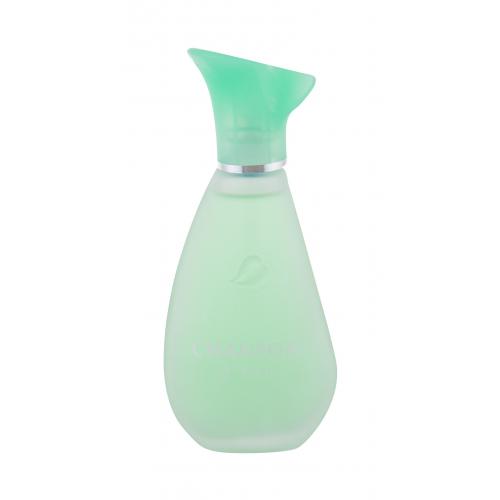 Chanson d'Eau Original toaletná voda pre ženy 100 ml