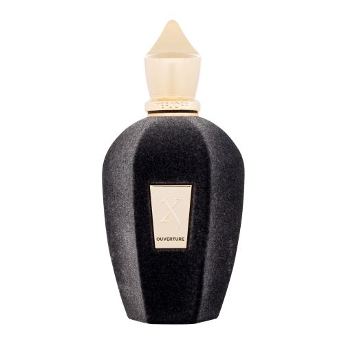 Xerjoff Ouverture 100 ml parfumovaná voda unisex